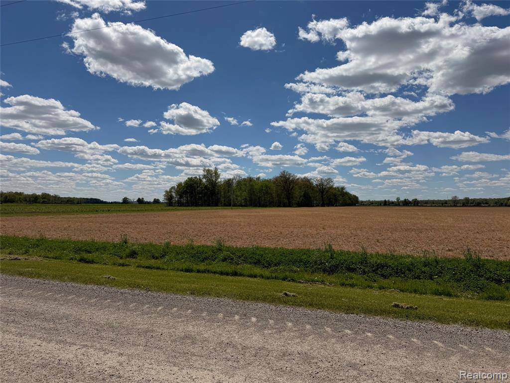 4380 N Blissfield Highway, Britton, MI 49229 — Photo 30