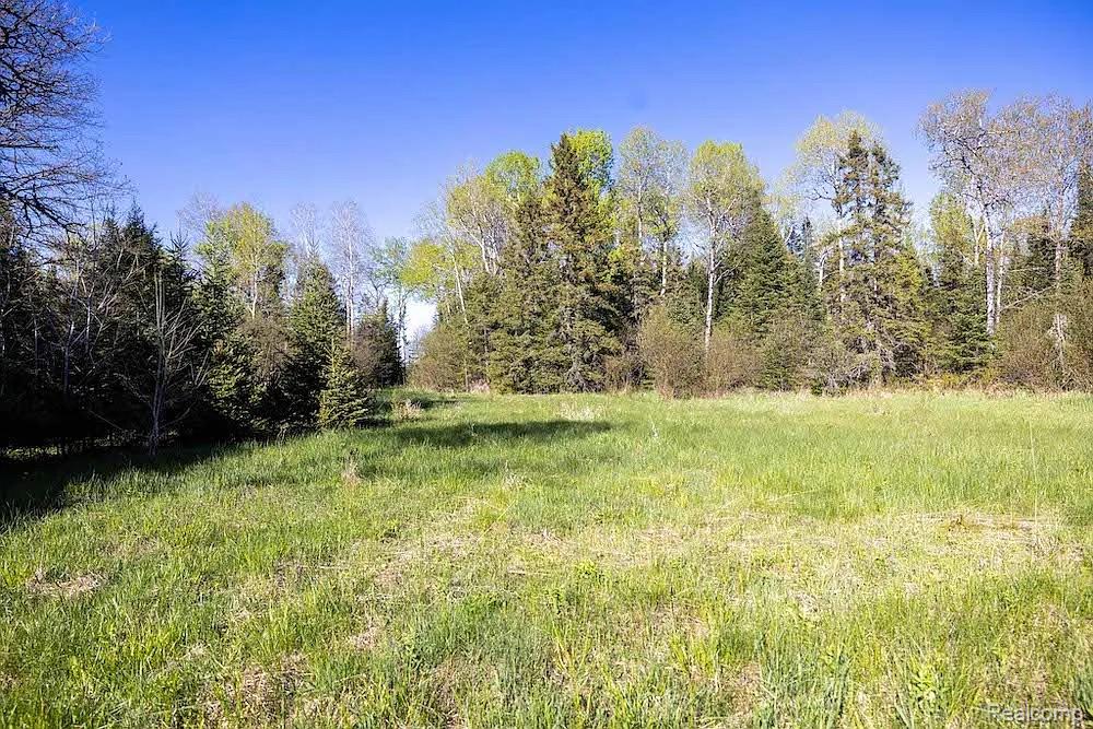 18031 State Highway M28, Newberry, MI 49868 — Photo 60