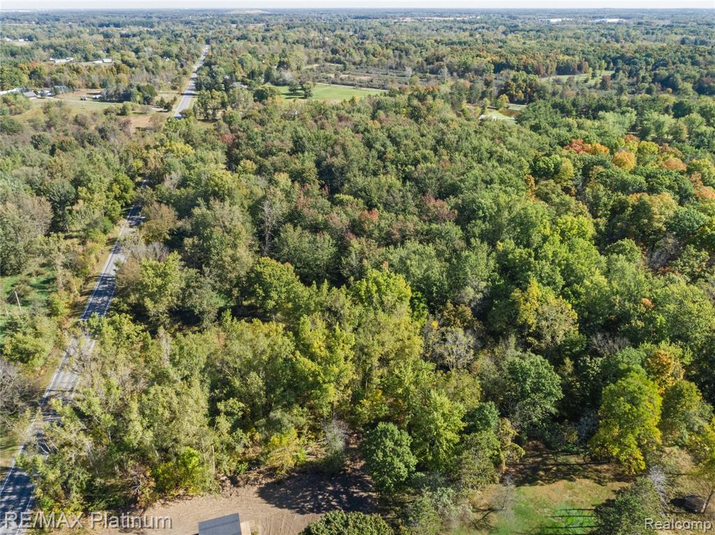 South of 12111 Linden Rd Linden Road, Linden, MI 48451 — Photo 9