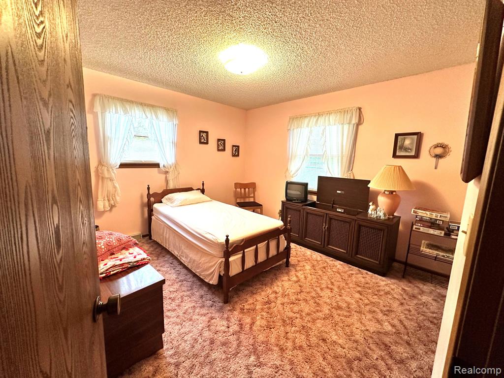6111 5TH Street, Mayville Vlg, MI 48744 — Photo 19