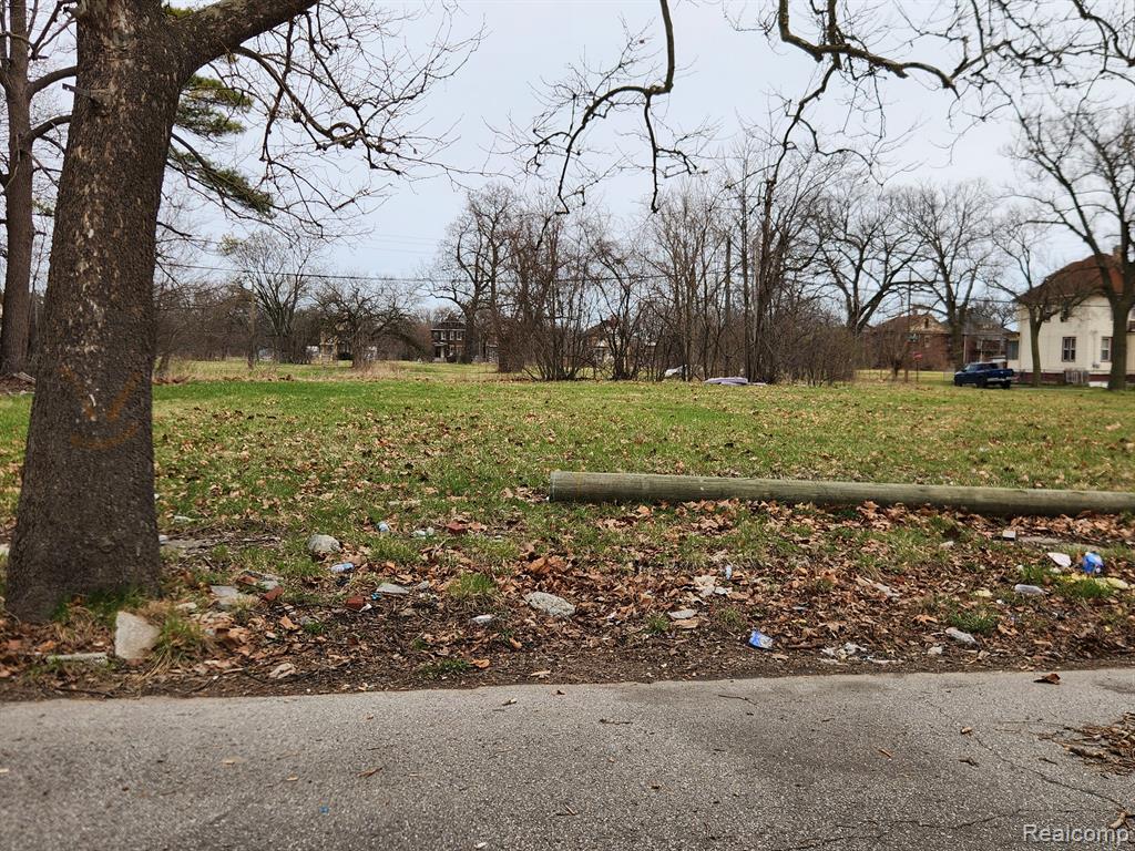 1508 GRAY Street - Photo 4
