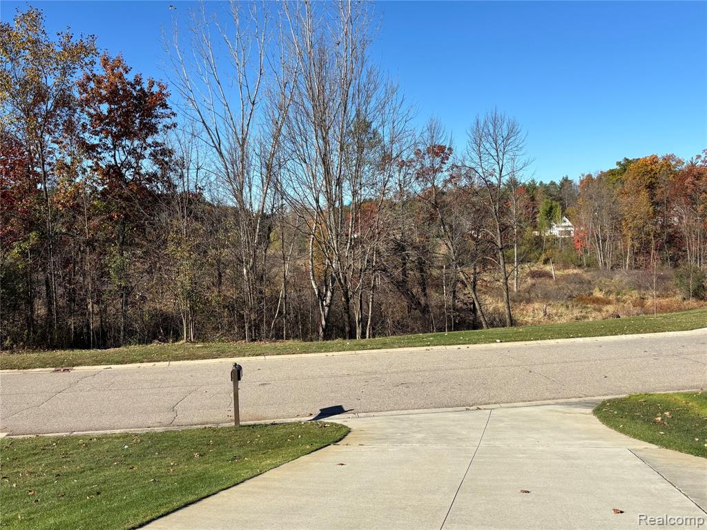 12425 Wolfberry Court, Fenton, MI 48430 — Photo 56