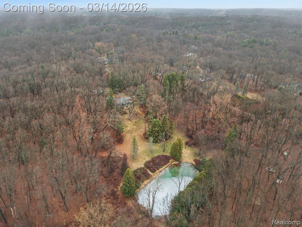 1380 Kent Road, Ortonville, MI 48462 — Photo 46