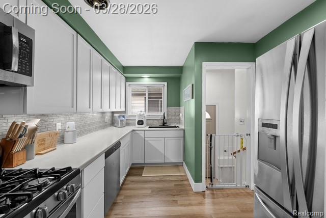 1461 Champaign Road N, Lincoln Park, MI 48146 — Photo 10