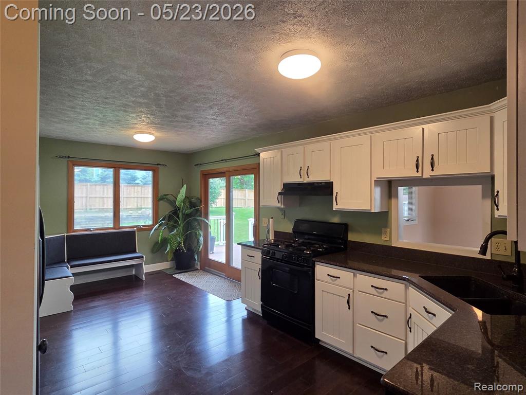 5926 Buttonwood Drive, Haslett, MI 48840 — Photo 12