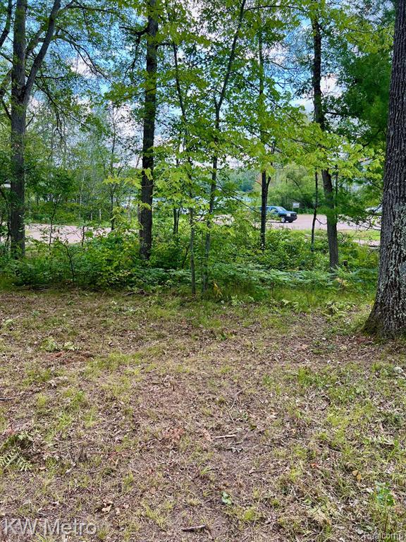 6629 S Tampa, Idlewild, MI 49642 — Photo 12