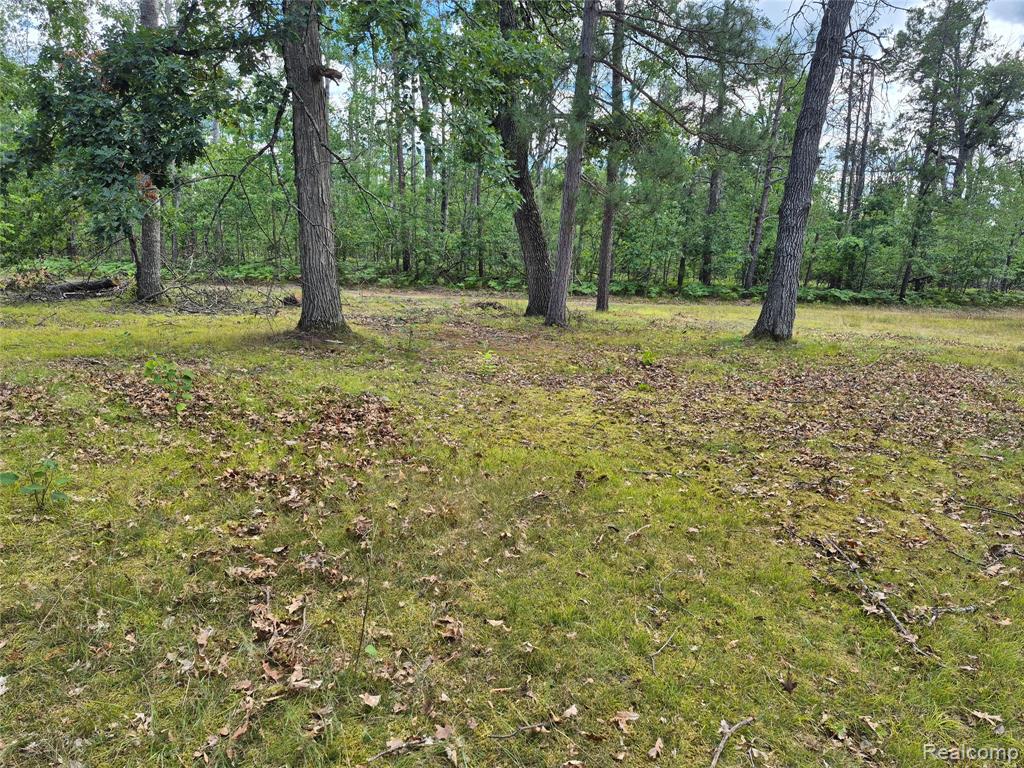 11864 Spikehorn Road, Johannesburg, MI 49751 — Photo 11