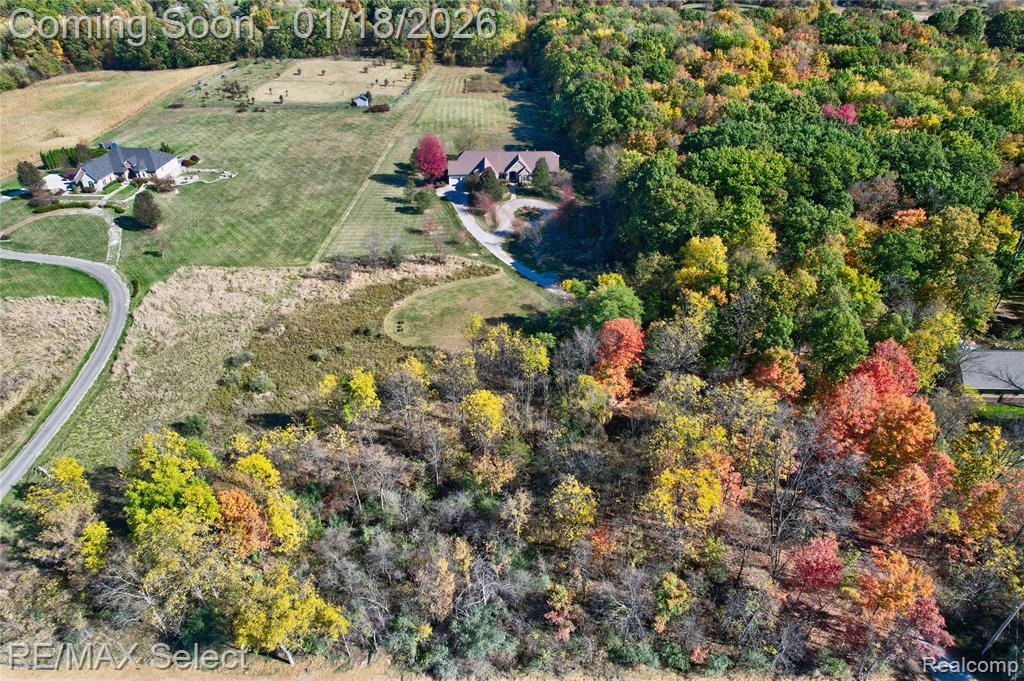 9305 Vassar Road, Grand Blanc, MI 48439 — Photo 5