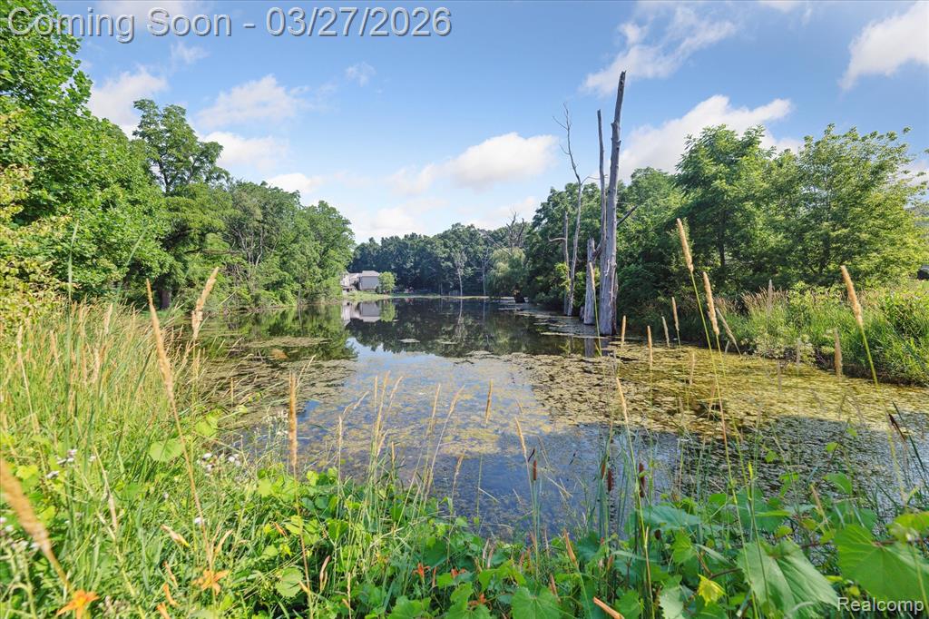 59200 Peters Barn Drive, South Lyon, MI 48178 — Photo 50