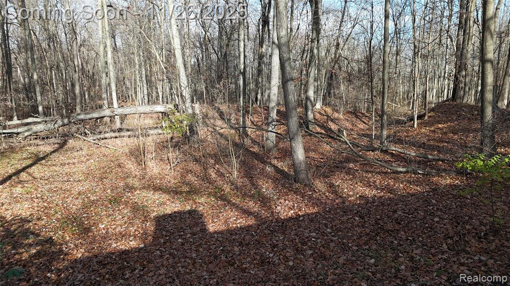 9300 Bath Road, Laingsburg, MI 48848 — Photo 11