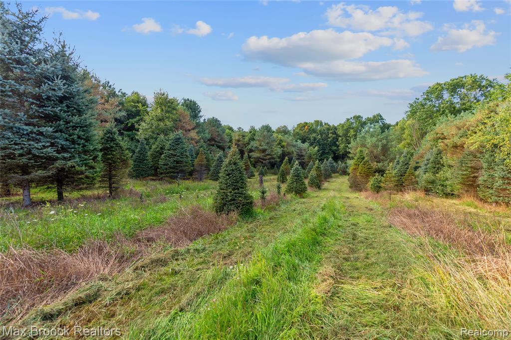 4700 Stanley Road, Columbiaville, MI 48421 — Photo 81