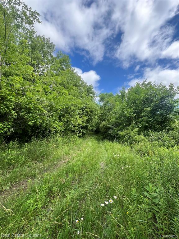 5440 Lobdell Road, Fenton, MI 48430 — Photo 5