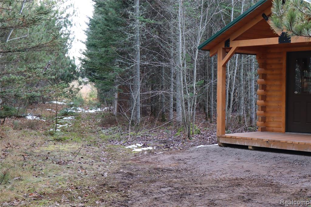 #A W Pendills Lake Road, Brimley, MI 49715 — Photo 9