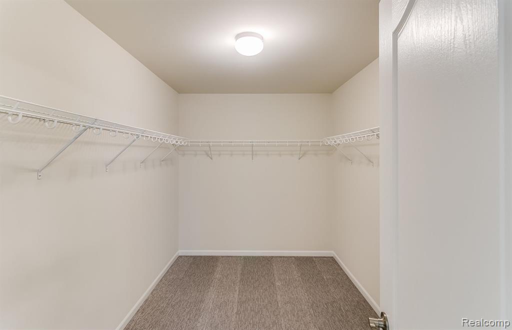 831 KUSS Drive, Saline, MI 48176 — Photo 6