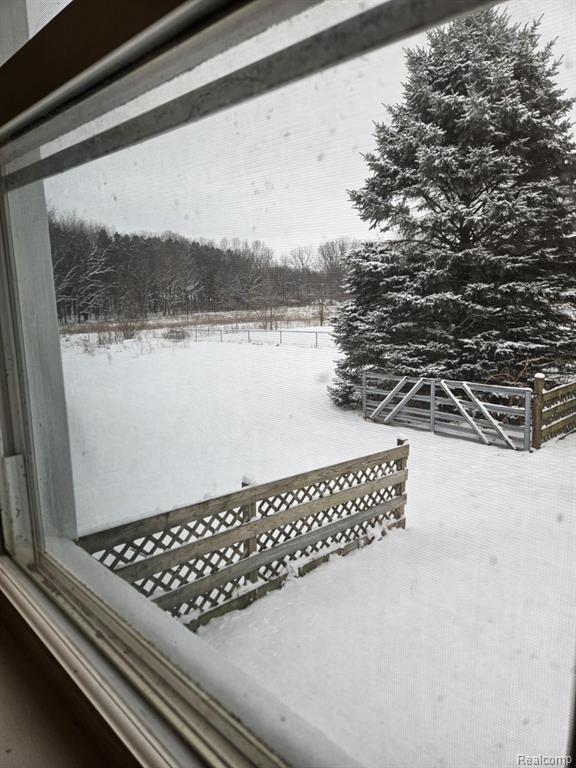 11261 BOHM Road, Byron, MI 48418 — Photo 5