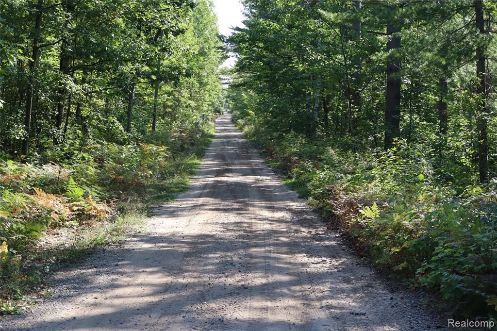 Lot D W Pendills Lake Road, Brimley, MI 49715 — Photo 50