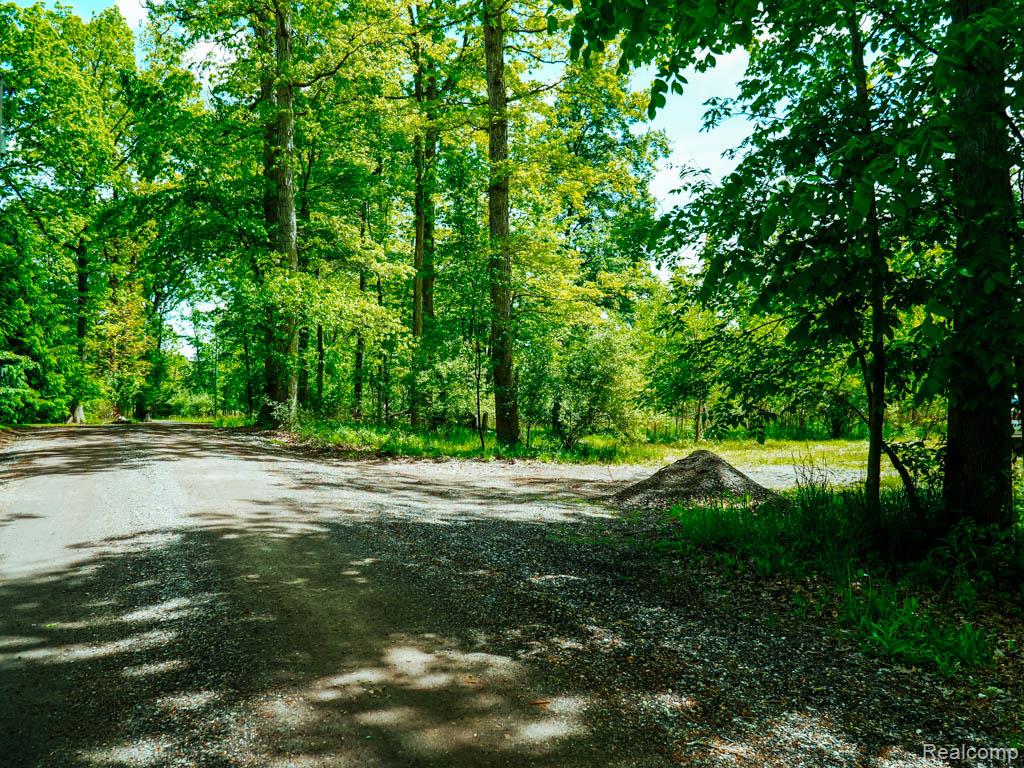 C-1 DOA Lane, Brighton, MI 48114 — Photo 3
