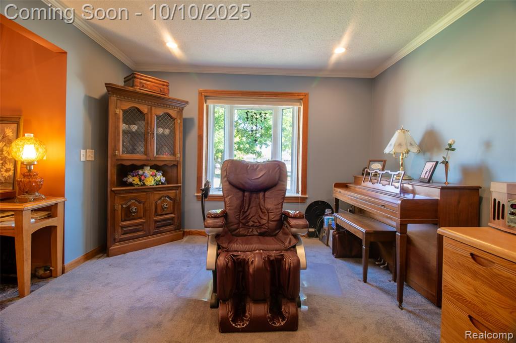 22321 N Fairway Drive, Woodhaven, MI 48183 — Photo 13