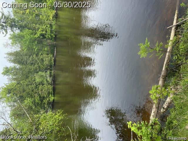 4148 Blue Vista Drive, Evart, MI 49631 — Photo 2