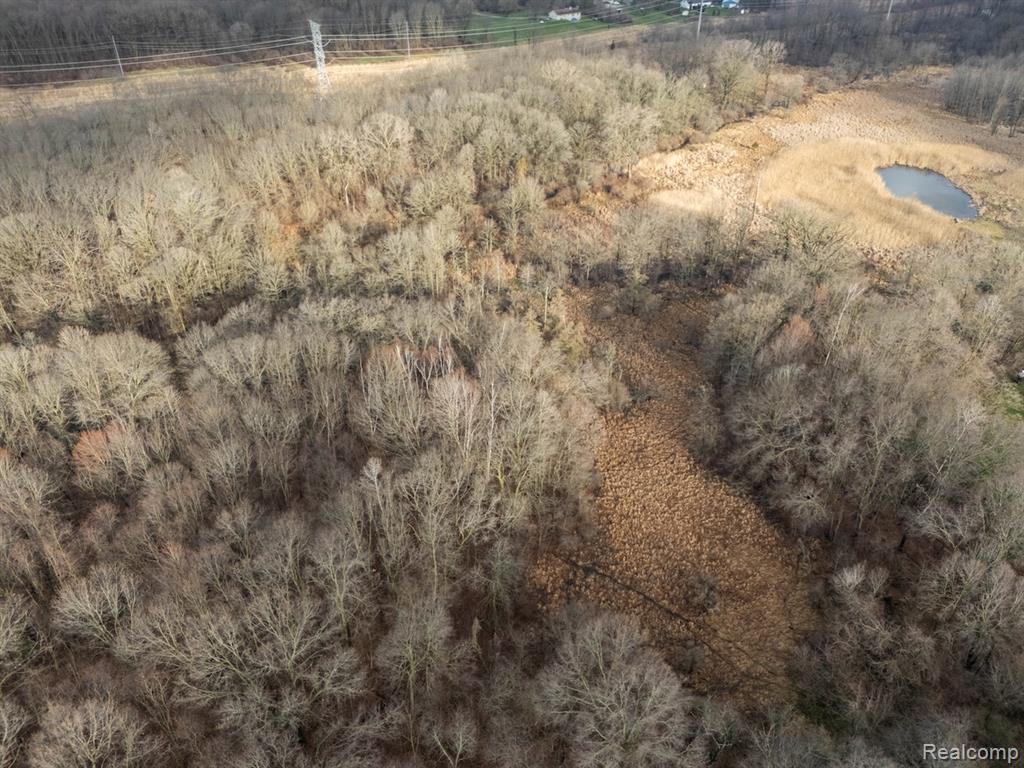 VL Pingree Road, Howell, MI 48843 — Photo 12