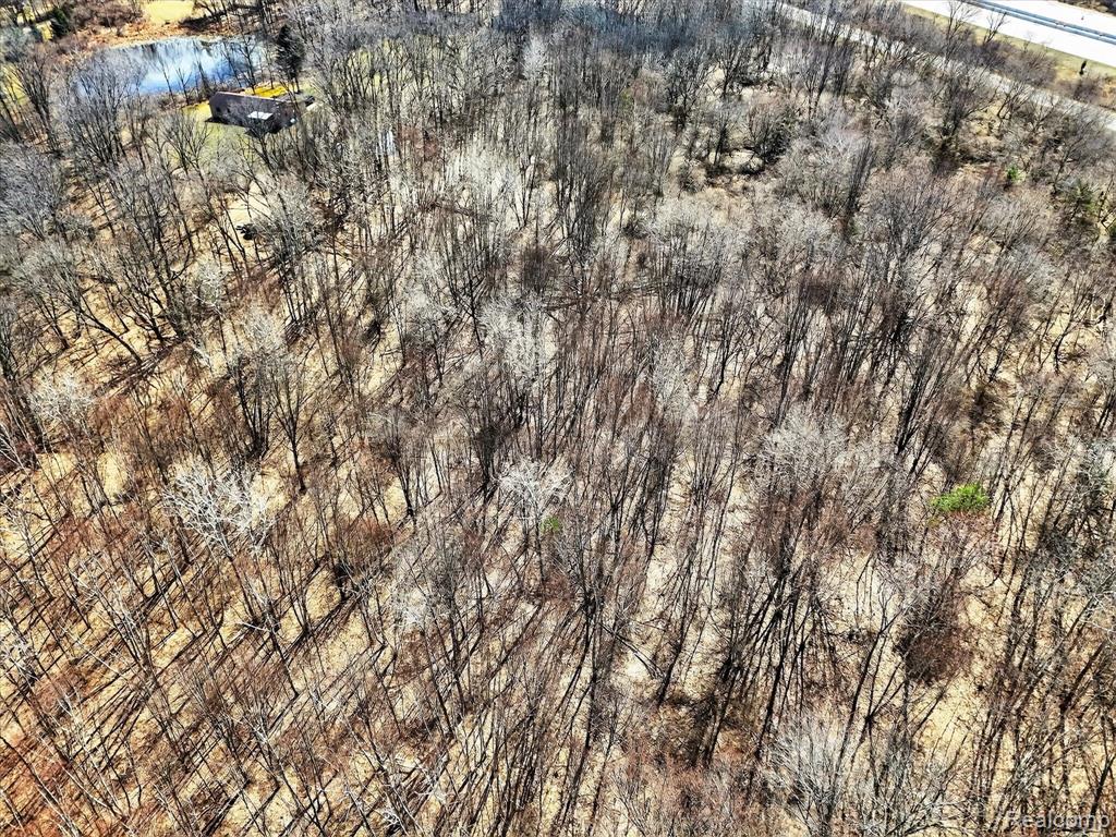 VL Herbst, Brighton, MI 48114 — Photo 16