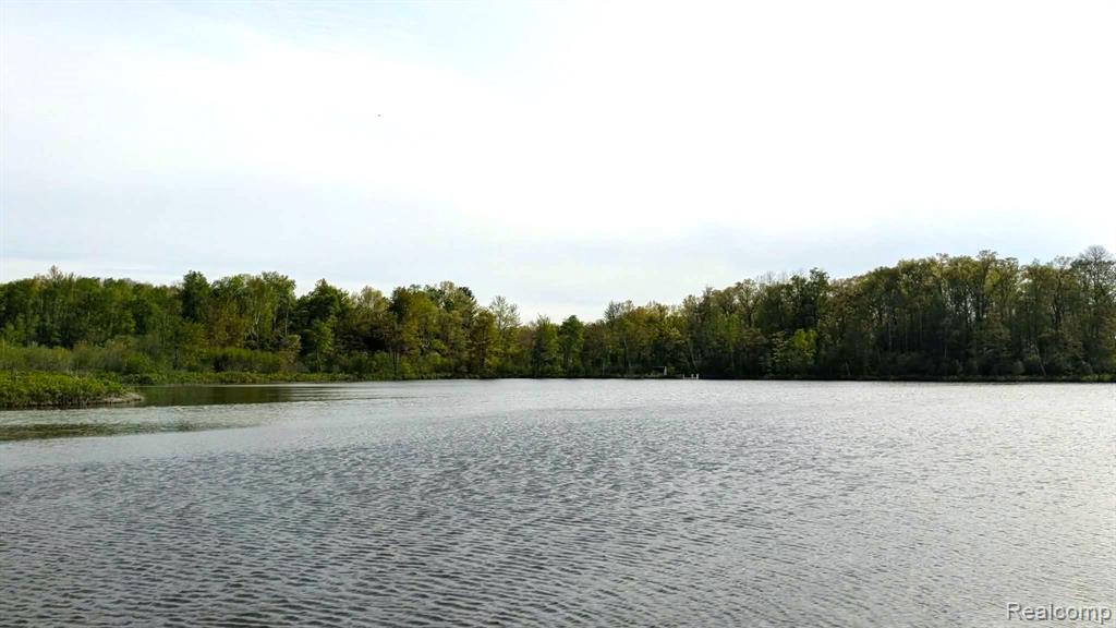 5554 N Sauble Lake Drive, Irons, MI 49644 — Photo 57