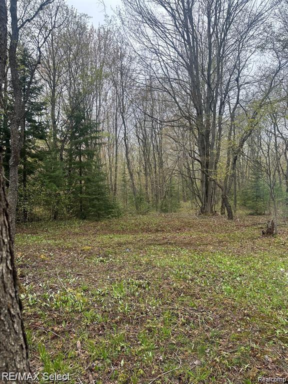 4610 SANMOTT Trail NE, Kalkaska, MI 49646 — Photo 6