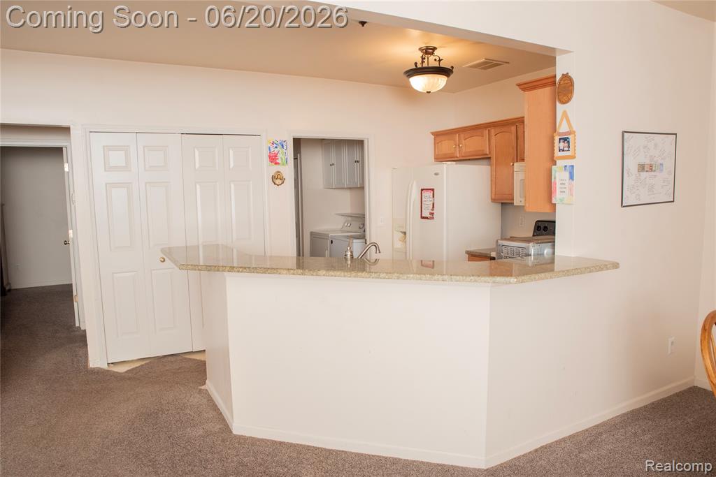519 Cedar Street, Wyandotte, MI 48192 — Photo 16