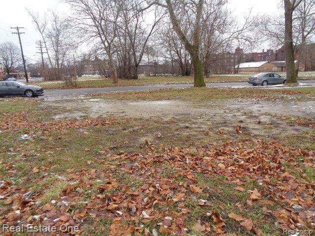 3200 W BOSTON Boulevard, Detroit, MI 48206 — Photo 7