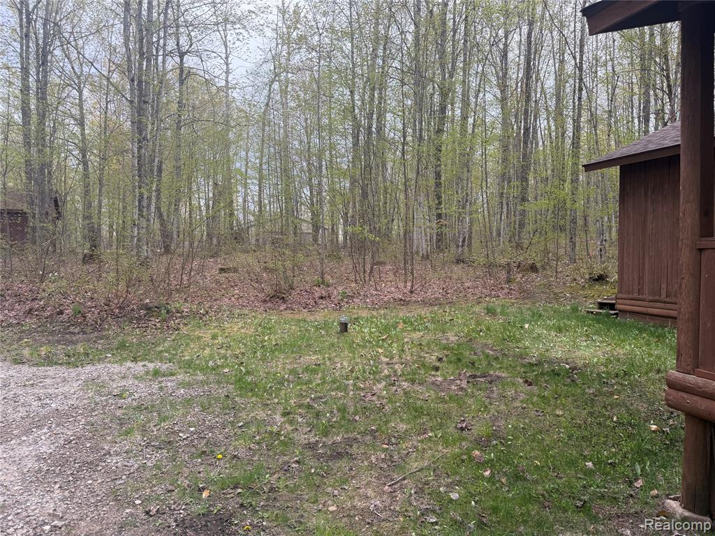 8641 Springdale Drive, Elmira, MI 49730 — Photo 21