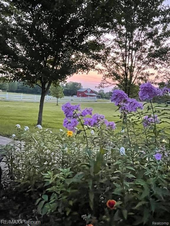536 N CEDAR Road, Fowlerville, MI 48836 — Photo 72