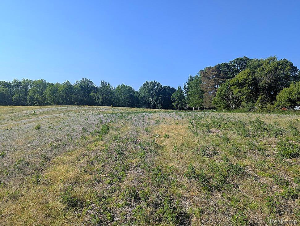 Parcel A - Rolston Road, Linden, MI 48451 — Photo 21