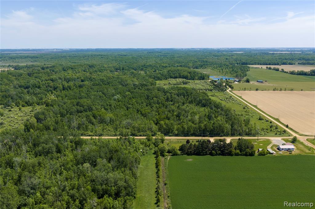 Parcel C Freiburger Rd, Snover, MI 48472 — Photo 4