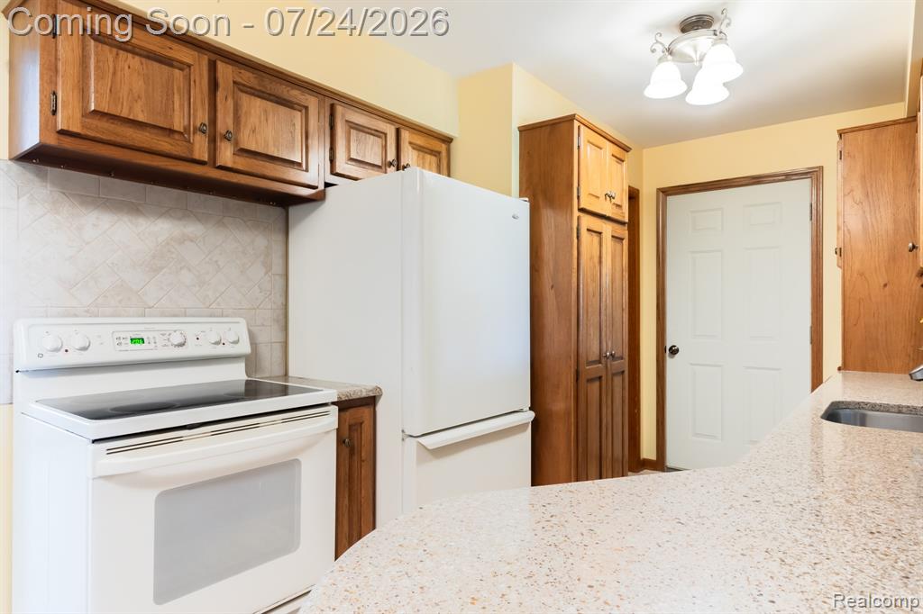 895 Haslett Road E, Williamston, MI 48895 — Photo 12
