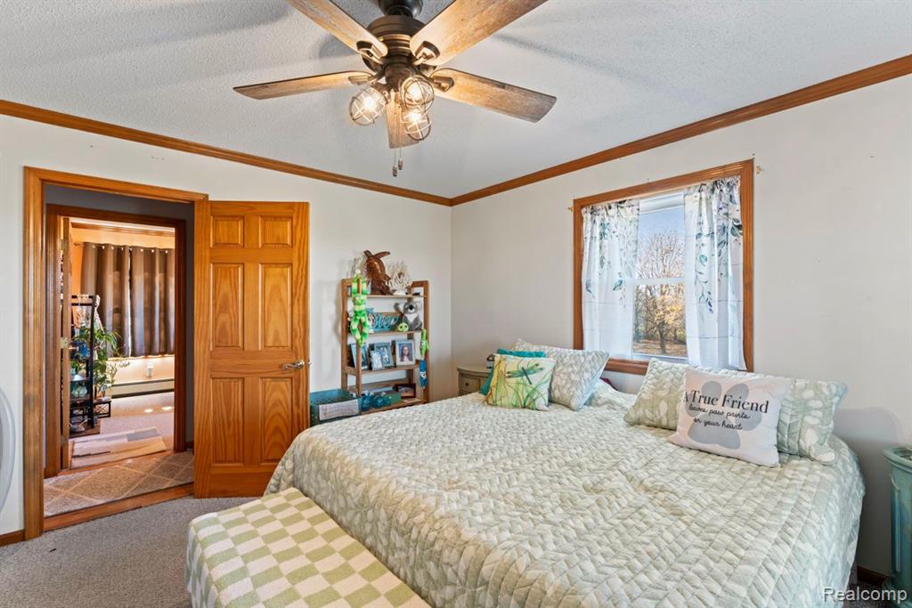 6510 MERTZ Road, Mayville Vlg, MI 48744 — Photo 18