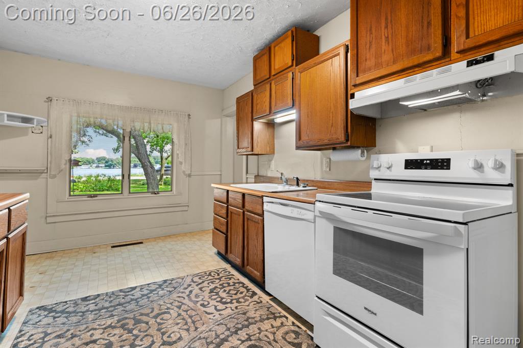 514 Lake Street, Howell, MI 48843 — Photo 9