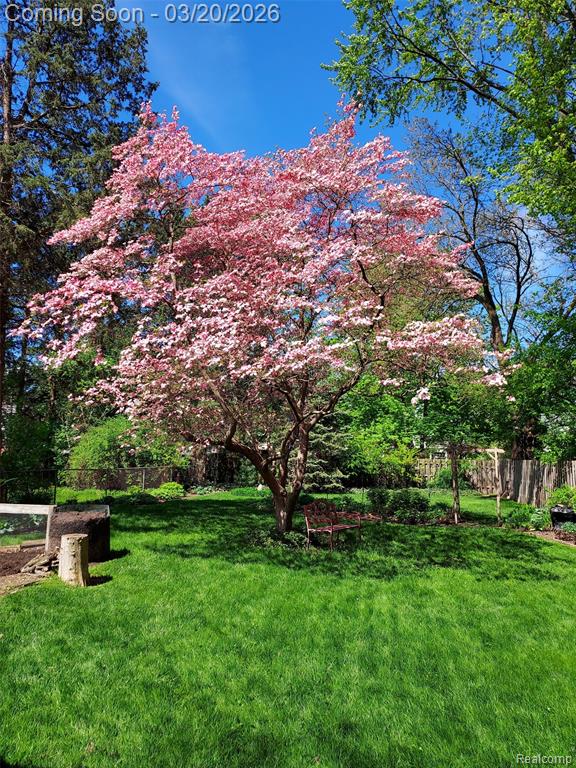 16811 Plainview Avenue, Detroit, MI 48219 — Photo 56