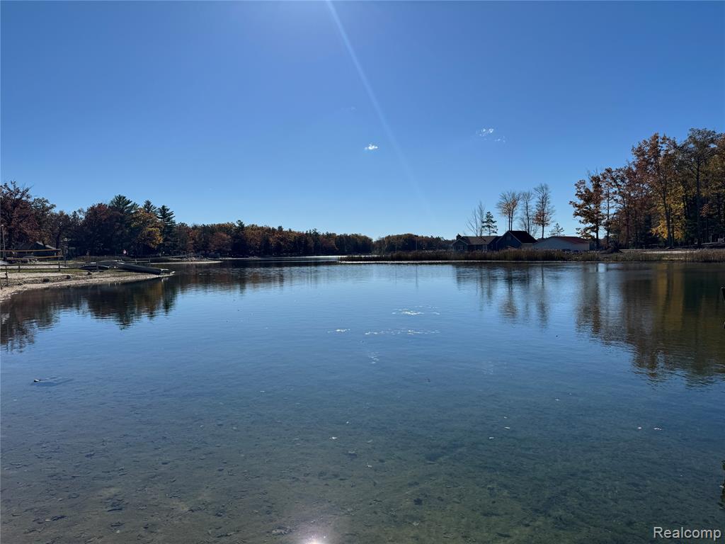 7099 Jose Lake Road, South Branch, MI 48761 — Photo 8