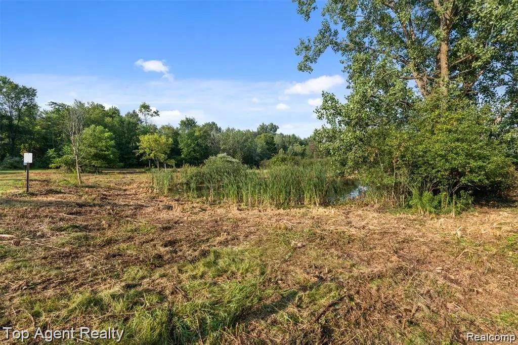 4499 West Street, Leonard, MI 48367 — Photo 14