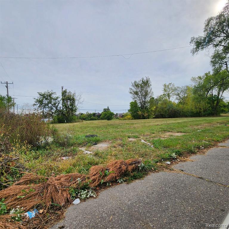 3751 LONGFELLOW Street, Detroit, MI 48206 — Photo 6