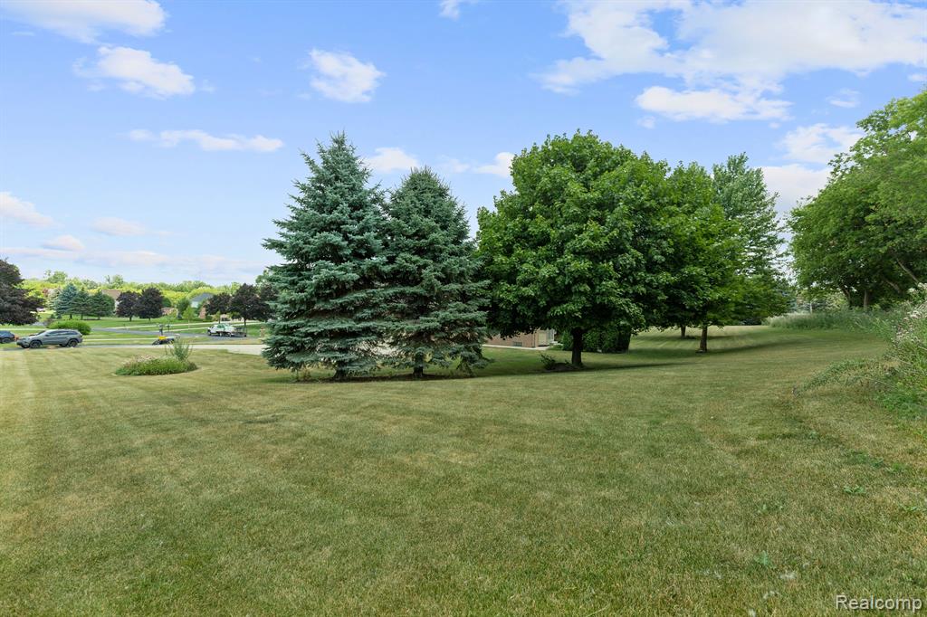 71064 BURLISON Lane, Bruce, MI 48065 — Photo 39