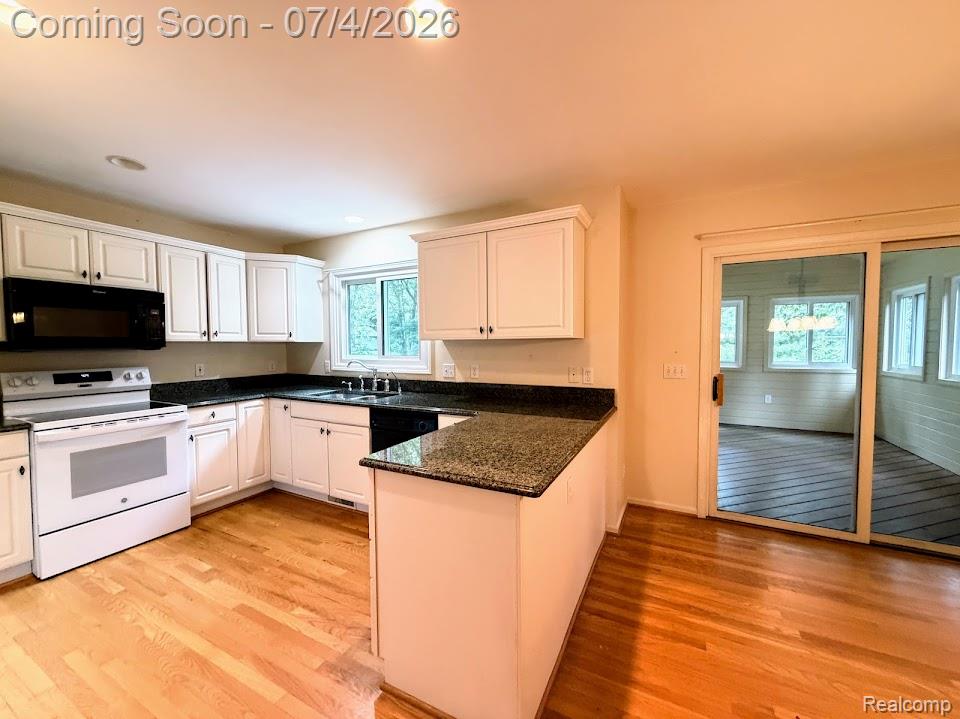 10928 Sunny Ridge Court, Pinckney, MI 48169 — Photo 40