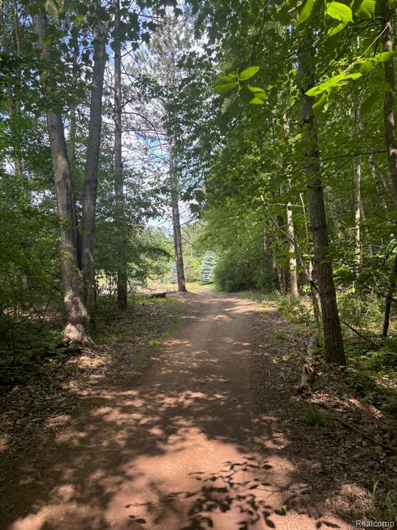 4835 Little Cedar Creek Drive, Attica, MI 48412 — Photo 29