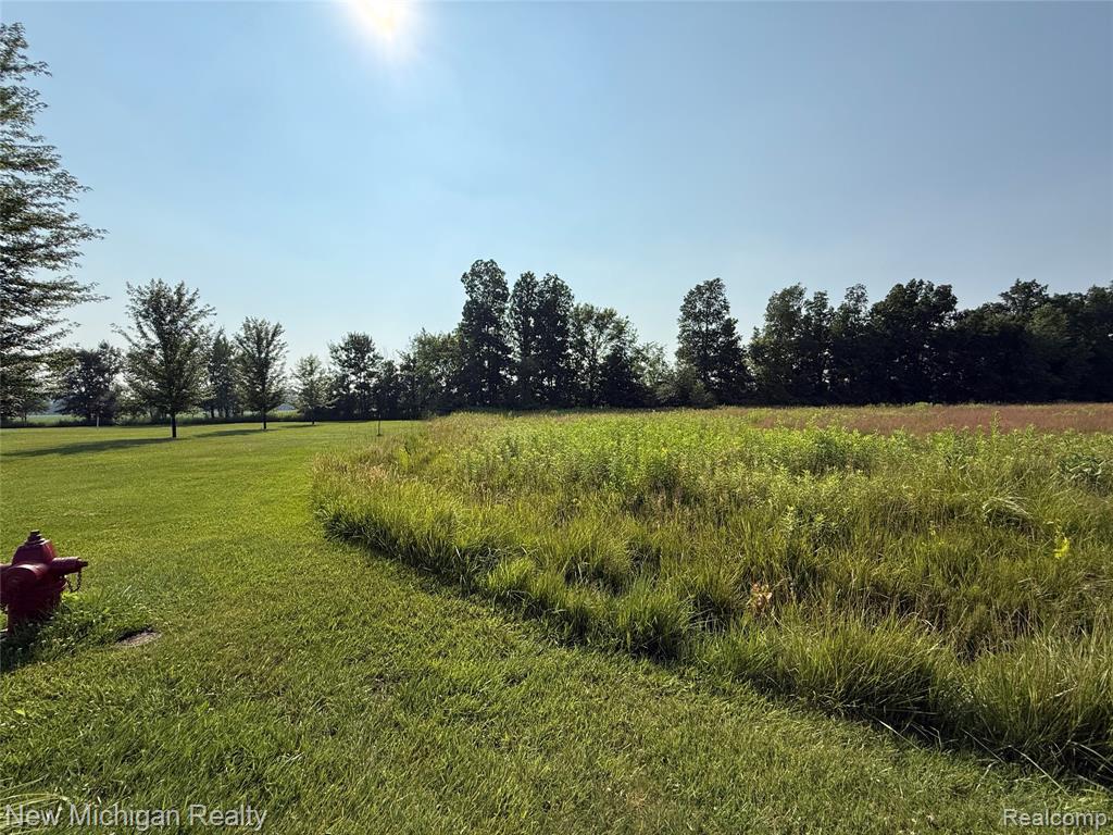 9807 Oak Ridge Road, New Lothrop, MI 48460 — Photo 4