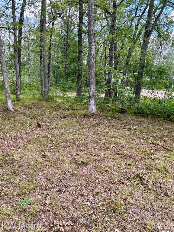 6629 S Tampa, Idlewild, MI 49642 — Photo 14