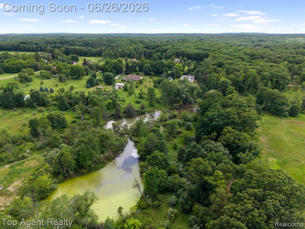 9780 Eagle Road, Davisburg, MI 48350 — Photo 20