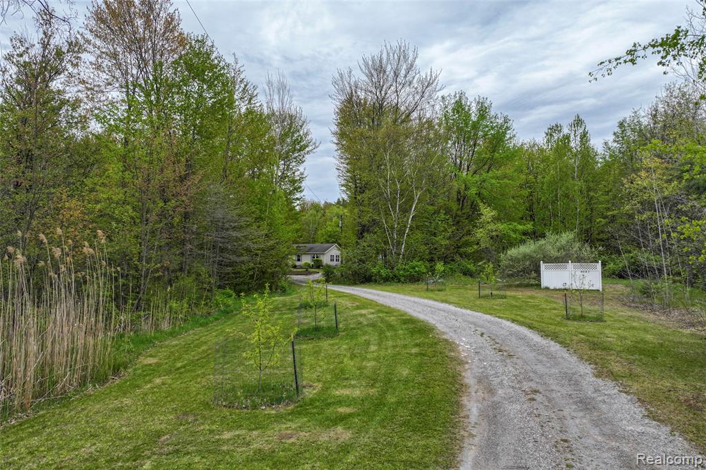 4587 Brown Road, Vassar, MI 48768 — Photo 2