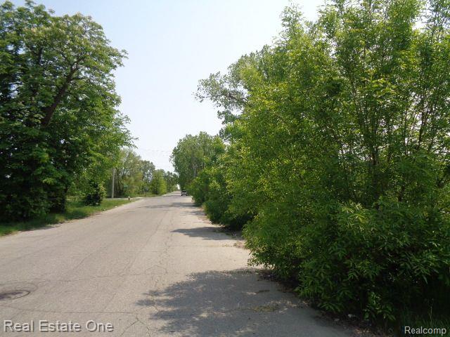 1051 CONCORD Street, Detroit, MI 48207 — Photo 11