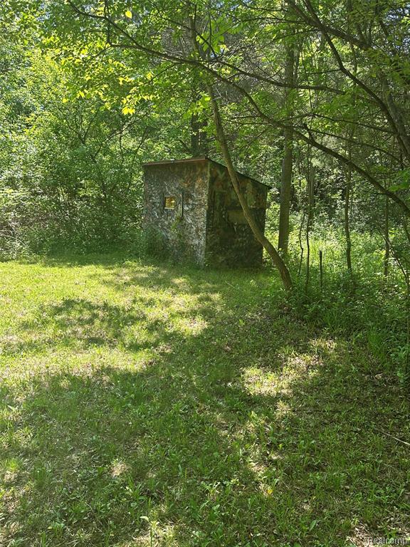 6161 River Road, Flushing, MI 48433 — Photo 58