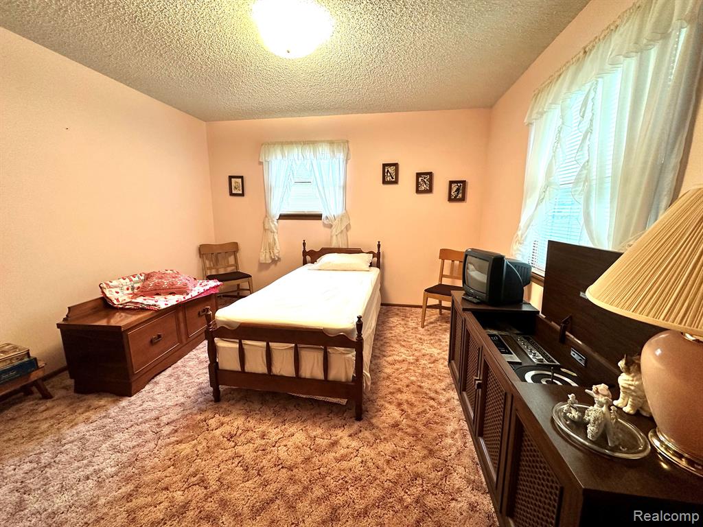 6111 5TH Street, Mayville Vlg, MI 48744 — Photo 18
